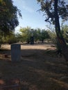 Wat Buddhametta: Tucson BuddhistÃÂ Meditatation Center